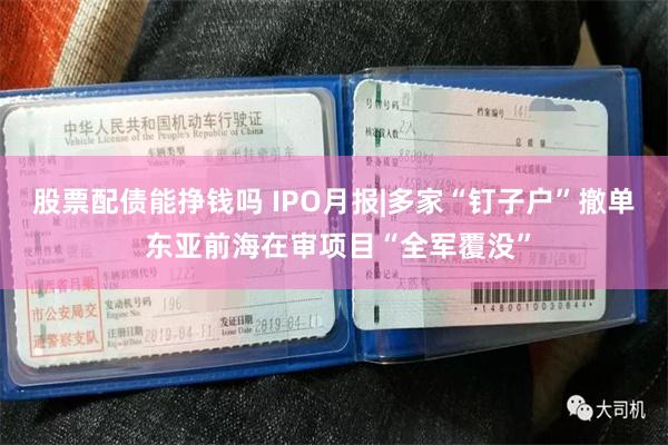 股票配债能挣钱吗 IPO月报|多家“钉子户”撤单 东亚前海在审项目“全军覆没”
