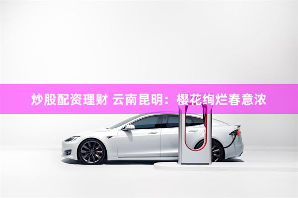 炒股配资理财 云南昆明：樱花绚烂春意浓