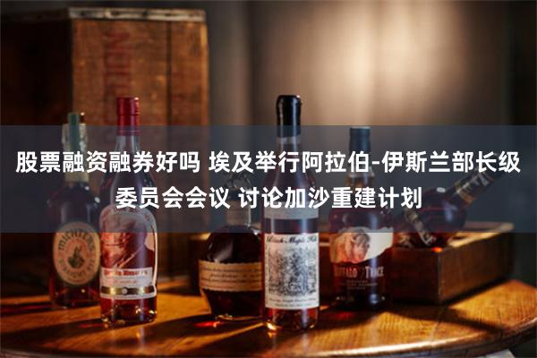 股票融资融券好吗 埃及举行阿拉伯-伊斯兰部长级委员会会议 讨论加沙重建计划