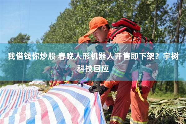 我借钱你炒股 春晚人形机器人开售即下架？宇树科技回应