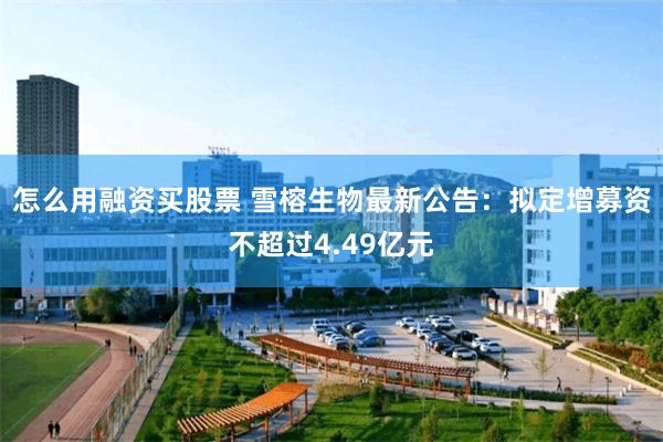 怎么用融资买股票 雪榕生物最新公告：拟定增募资不超过4.49亿元