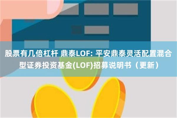 股票有几倍杠杆 鼎泰LOF: 平安鼎泰灵活配置混合型证券投资基金(LOF)招募说明书(更新)