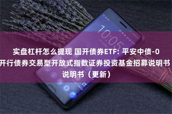 实盘杠杆怎么提现 国开债券ETF: 平安中债-0-3年国开行债券交易型开放式指数证券投资基金招募说明书(更新)