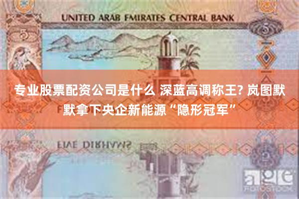 专业股票配资公司是什么 深蓝高调称王? 岚图默默拿下央企新能源“隐形冠军”