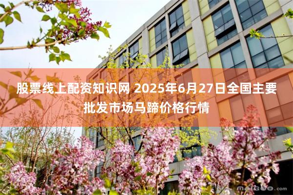股票线上配资知识网 2025年6月27日全国主要批发市场马蹄价格行情