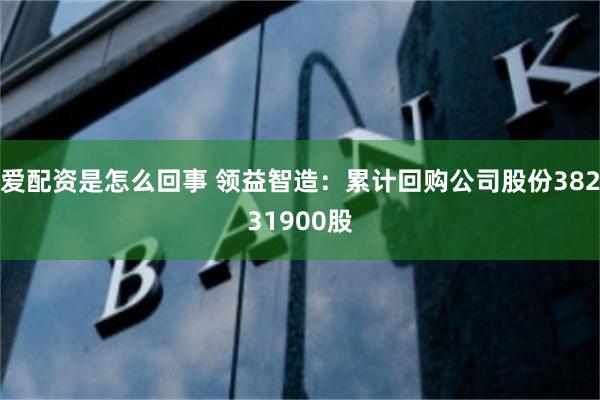 爱配资是怎么回事 领益智造：累计回购公司股份38231900股