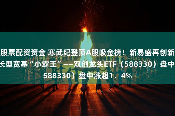 股票配资资金 寒武纪登顶A股吸金榜！新易盛再创新高，A股成长型宽基“小霸王”——双创龙头ETF（588330）盘中涨超1．4%