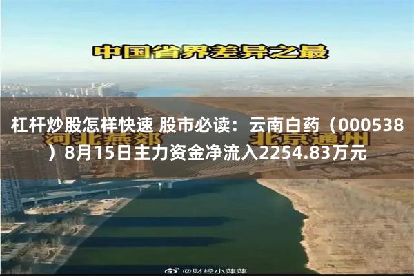 杠杆炒股怎样快速 股市必读：云南白药（000538）8月15日主力资金净流入2254.83万元