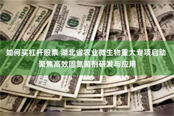 如何买杠杆股票 湖北省农业微生物重大专项启动 聚焦高效固氮菌剂研发与应用