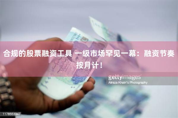 合规的股票融资工具 一级市场罕见一幕：融资节奏按月计！